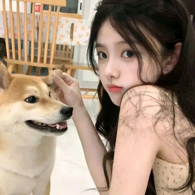 妖怪手表!2019